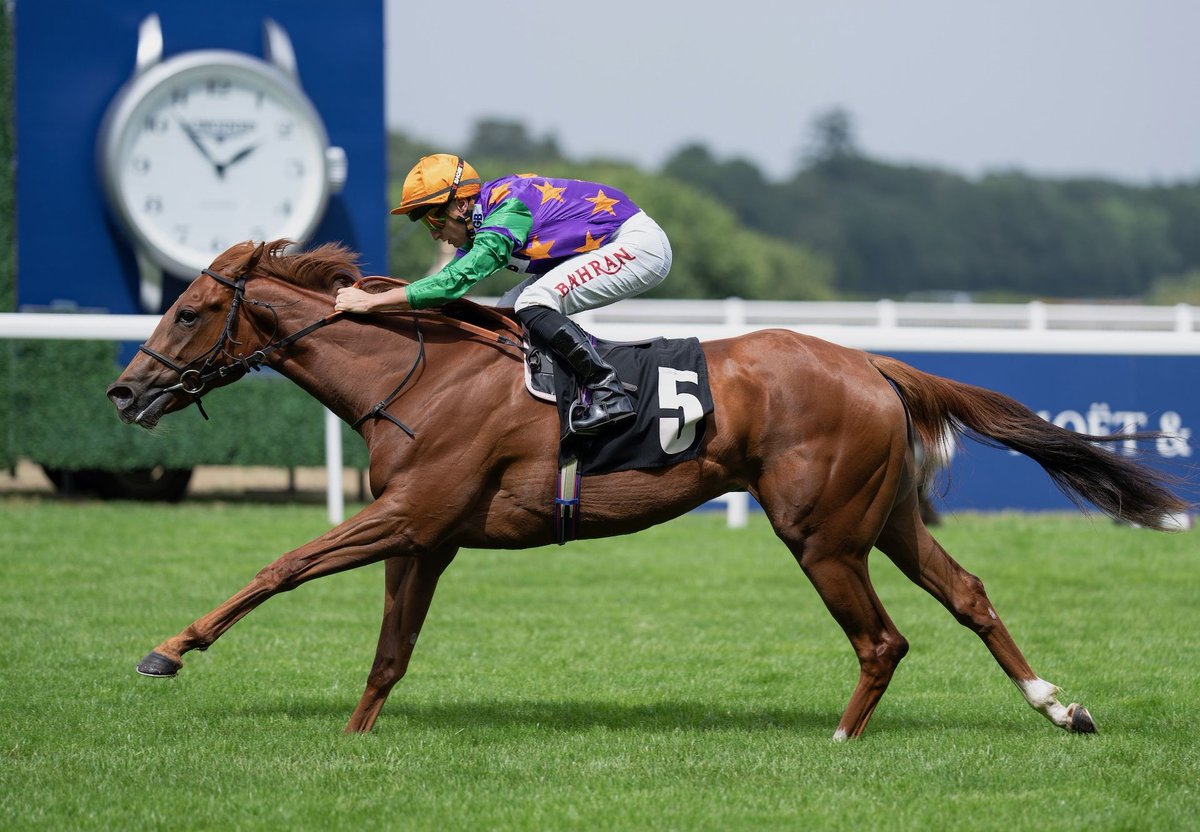 coolmorestud's tweet image. St Mark’s Basilica Filly Impresses At Ascot.
Princess Petrol (2f St Mark’s Basilica – Mot Juste, by Distorted Humour) shaped like a future stakes performer... bit.ly/4f7WMWv