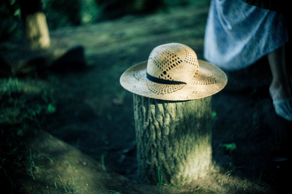 smith_oldlens's tweet image. 静かな夏。