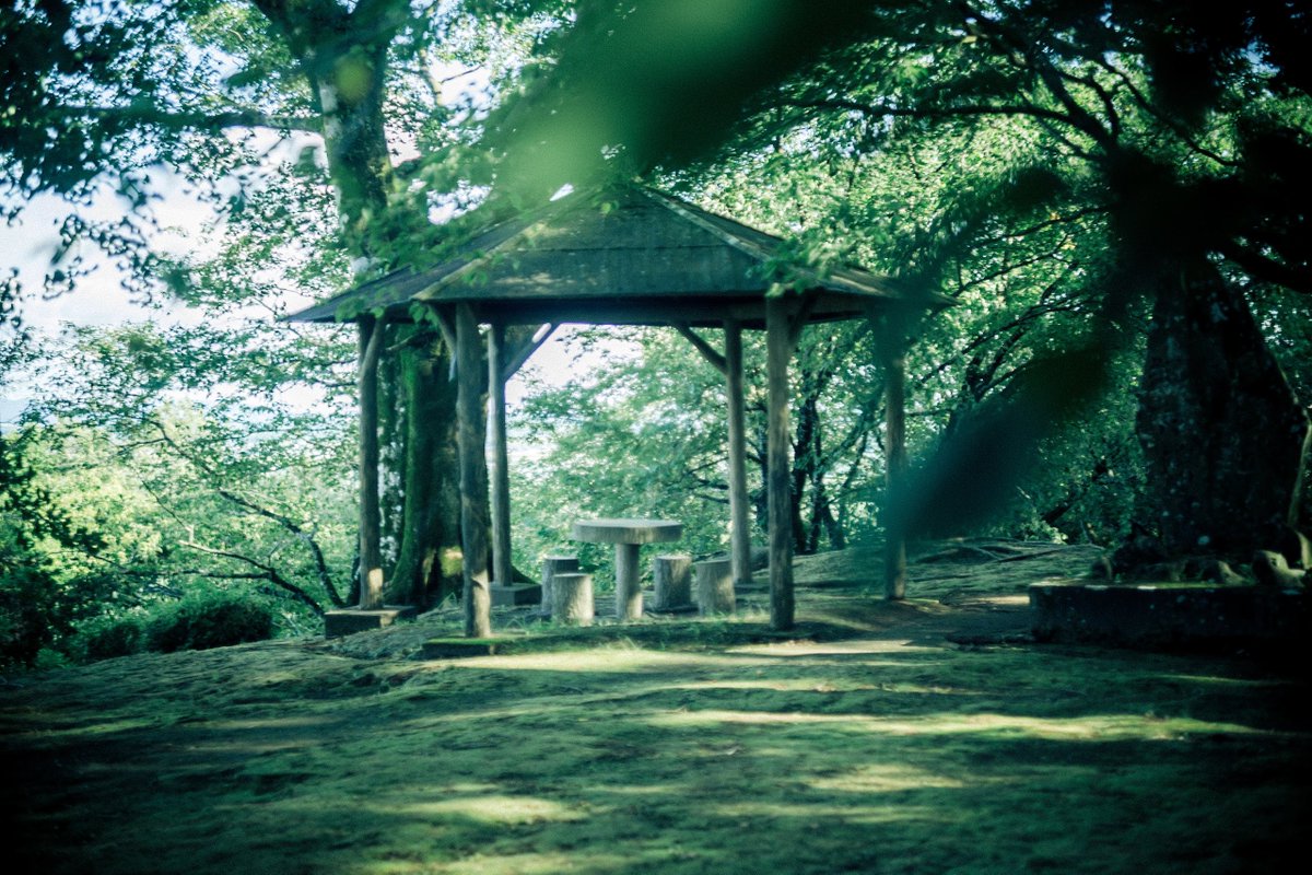 smith_oldlens's tweet image. 静かな夏。