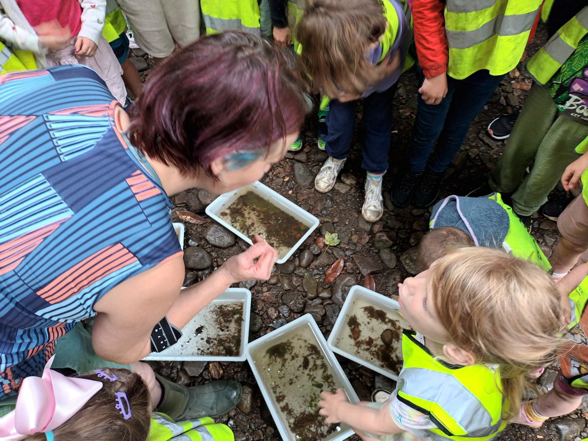 WOLCT's tweet image. A busy week of outdoor Education with nearly 100 children coming out into the Dells with us to learn about the ecology of the Water of Leith, wilderness survival, bugs and butterflies 🦋