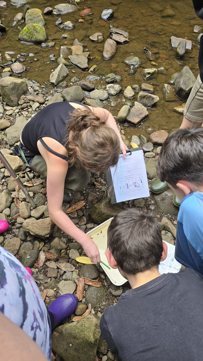 WOLCT's tweet image. A busy week of outdoor Education with nearly 100 children coming out into the Dells with us to learn about the ecology of the Water of Leith, wilderness survival, bugs and butterflies 🦋
