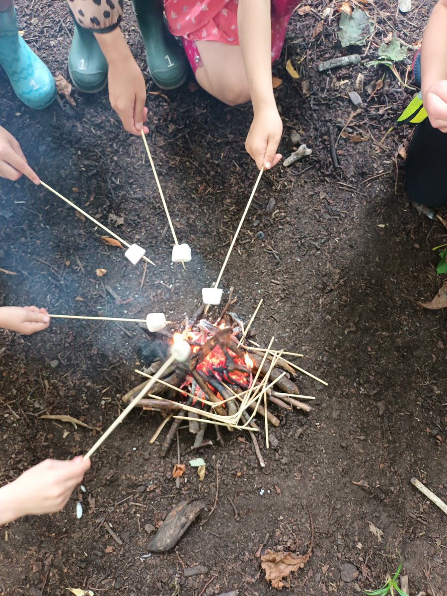 WOLCT's tweet image. A busy week of outdoor Education with nearly 100 children coming out into the Dells with us to learn about the ecology of the Water of Leith, wilderness survival, bugs and butterflies 🦋