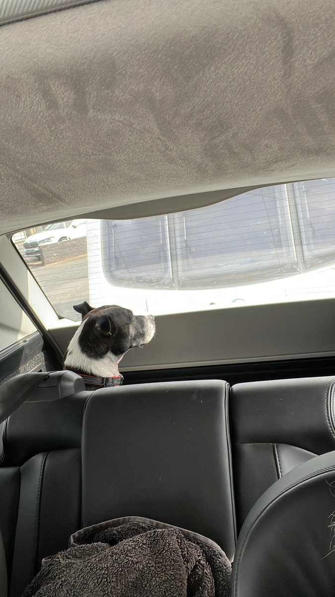 orlafer's tweet image. #StaffieSaturday on the long trip home, anti sickness tablets working so far 🤦‍♀️ in backseat with her and himself has the boot 🤣