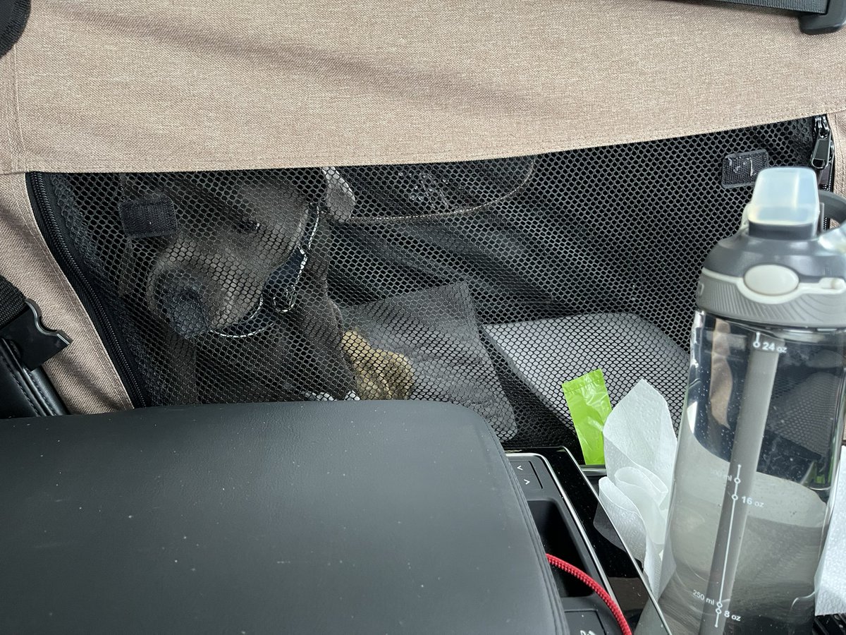 orlafer's tweet image. #StaffieSaturday on the long trip home, anti sickness tablets working so far 🤦‍♀️ in backseat with her and himself has the boot 🤣