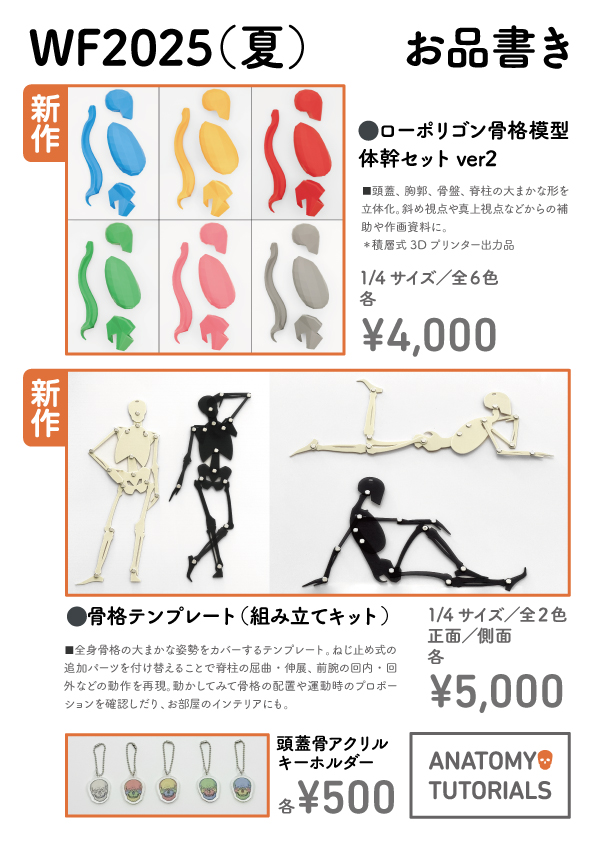 artanatomylab's tweet image. 明日開催のワンフェス、場所は3-25-03で、3ホールの出口のすぐそばです。当サークルでは美術解剖学の学習用模型を展示販売しています。