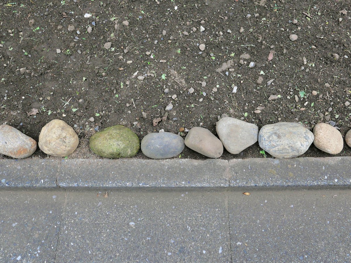 aaoo010's tweet image. 