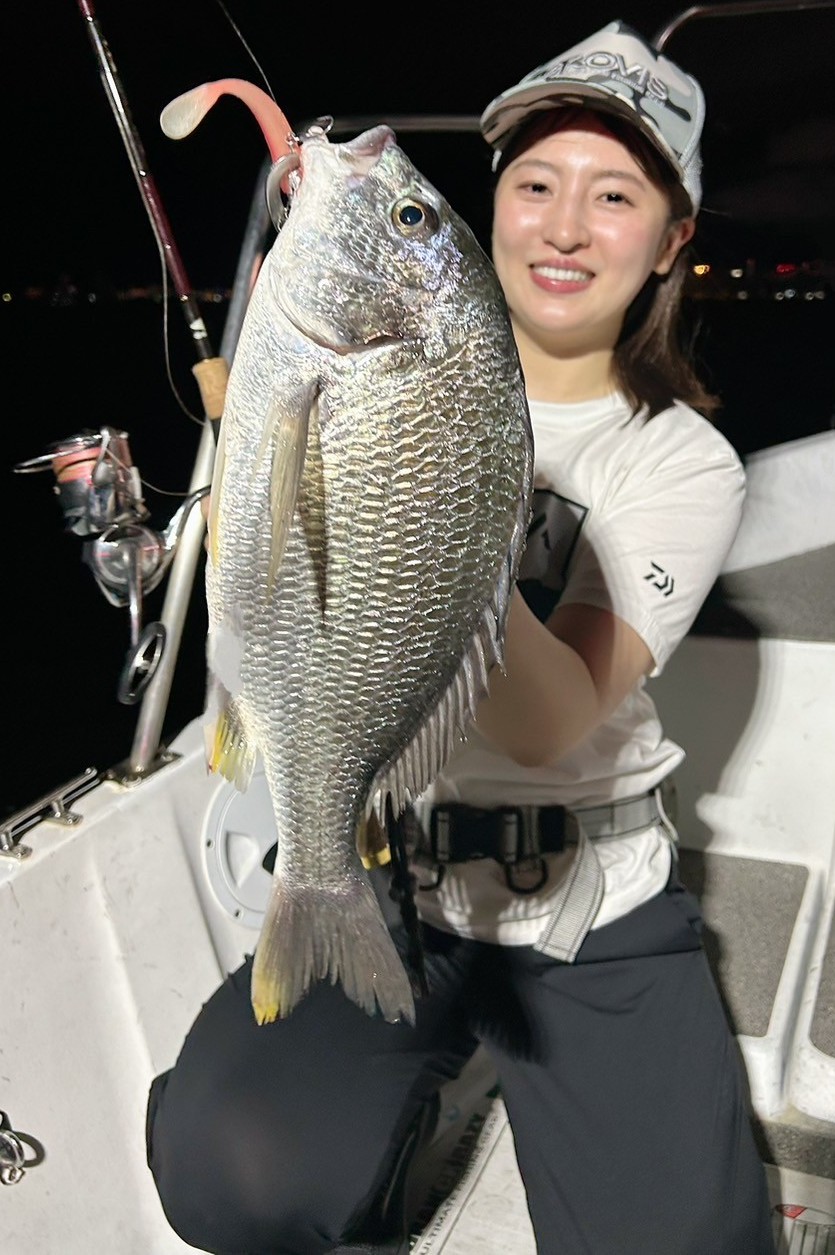 ロックンローラー Rear-Shock-Absorber-for-Isuzu-