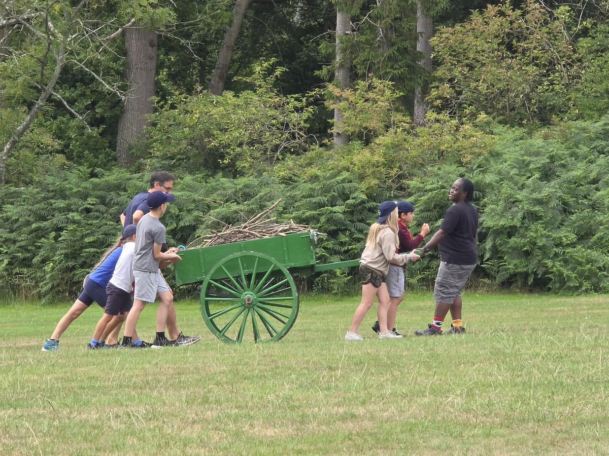 3rdBanstead's tweet image. Collecting wood 🪵 to cook our lunch and dinner