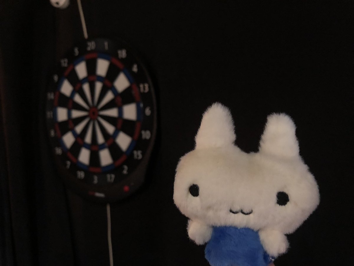 batako42's tweet image. みてー！ダーツはやったことありません。
#やむねこちゃんと生活