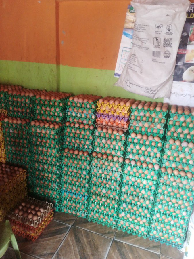 Don’t forget I’m still your favorite plug for quality eggs in all sizes. 

Neat and super fresh. 
Well packaged 

A crate is 6,200. 

Buy 40 crates from us and get one for FREE. ✌️

Location: Animashaun bus stop off Ilogbo Road Lagos.

Please kindly help me RT and Quote. 👏
