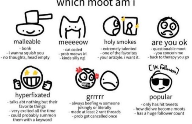shutterxfox's tweet image. i’ll tell you yours if you tell me mine while i sleep goodnight moots honk shoo mimimimi