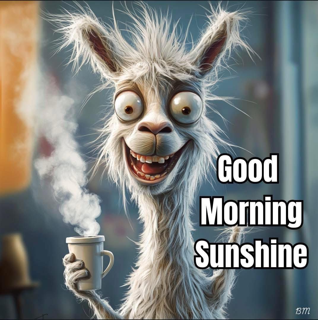 Good morning!😎🇺🇸🤣