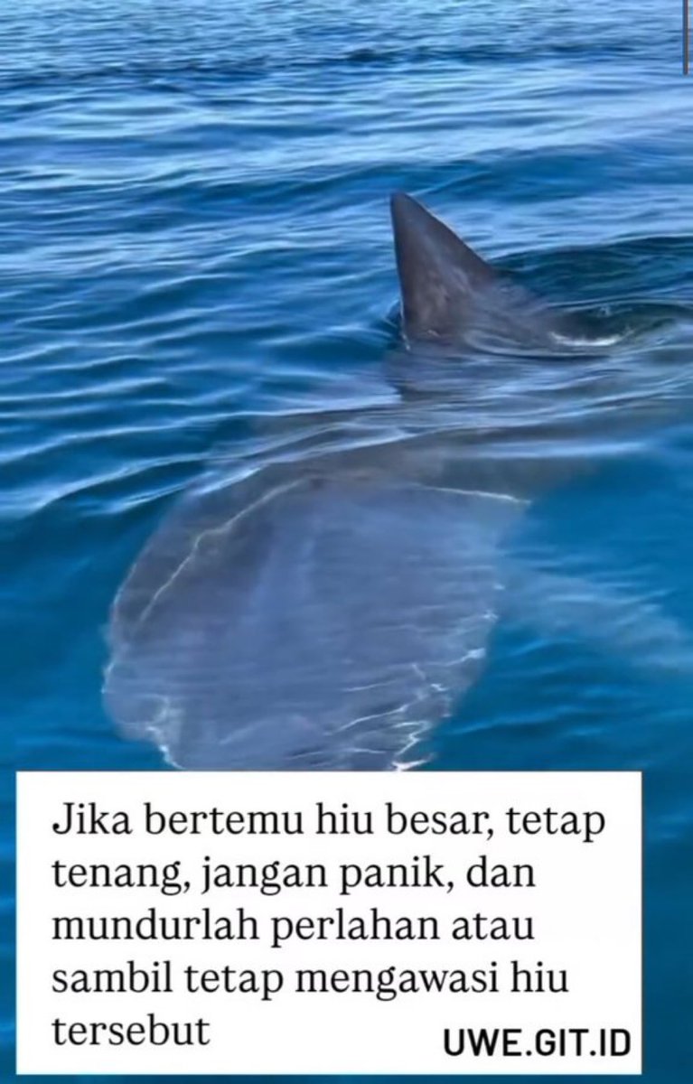 Keknya kalimat saran ini blm selesai ditulis.

Kelanjutannya;
“tidak perlu capek2 kabur saat Hiu tutup mata utk berdoa sblm makan. Krn percuma, anda tetap bakal dikunyah”