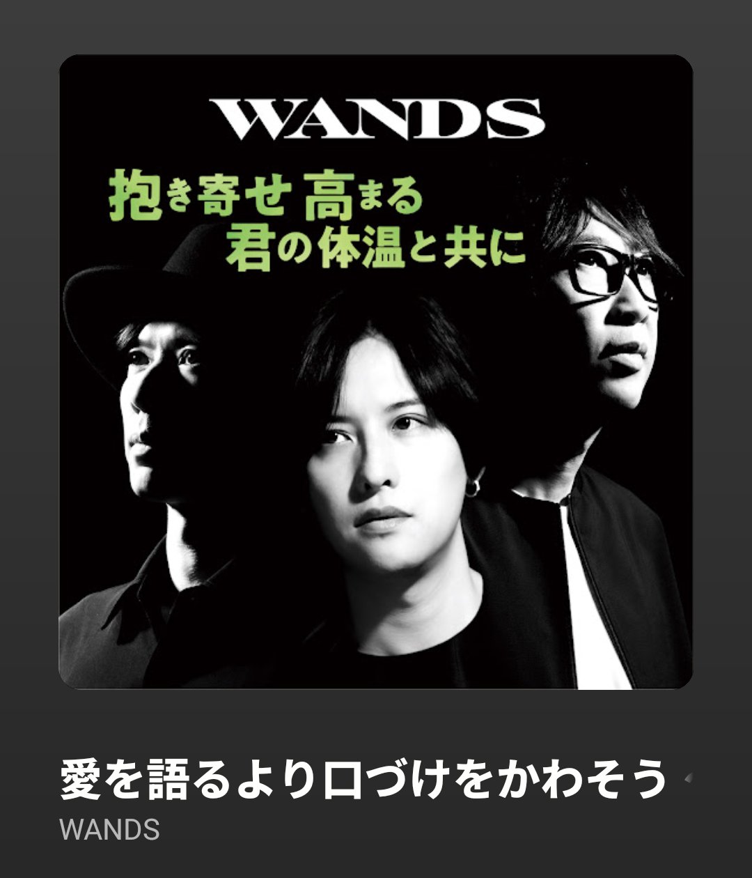 WANDS - Search / X