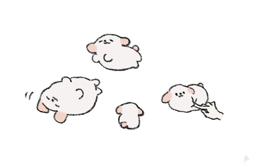 3umnr's tweet image. ふわんこ