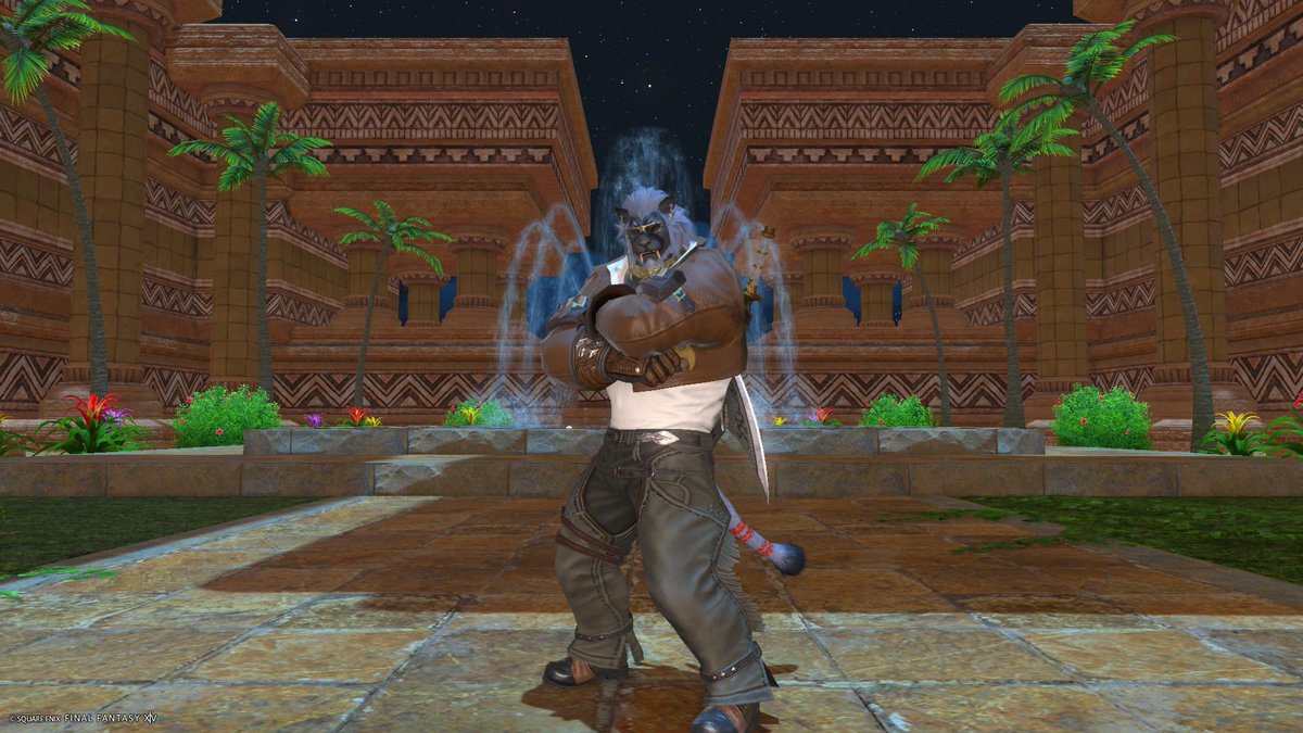 ryu_drago_ff14's tweet image. もう一個の方も🏔️🦁🏔️
景色がいいね🌃