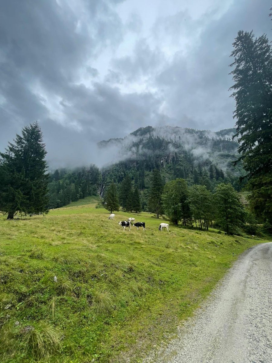 TragisterFlav's tweet image. Hiking trip got cancelled after day 1 bc it started raining way too hard and my dad got sick but it was SO pretty while it lasted