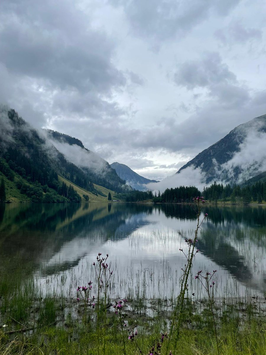 TragisterFlav's tweet image. Hiking trip got cancelled after day 1 bc it started raining way too hard and my dad got sick but it was SO pretty while it lasted