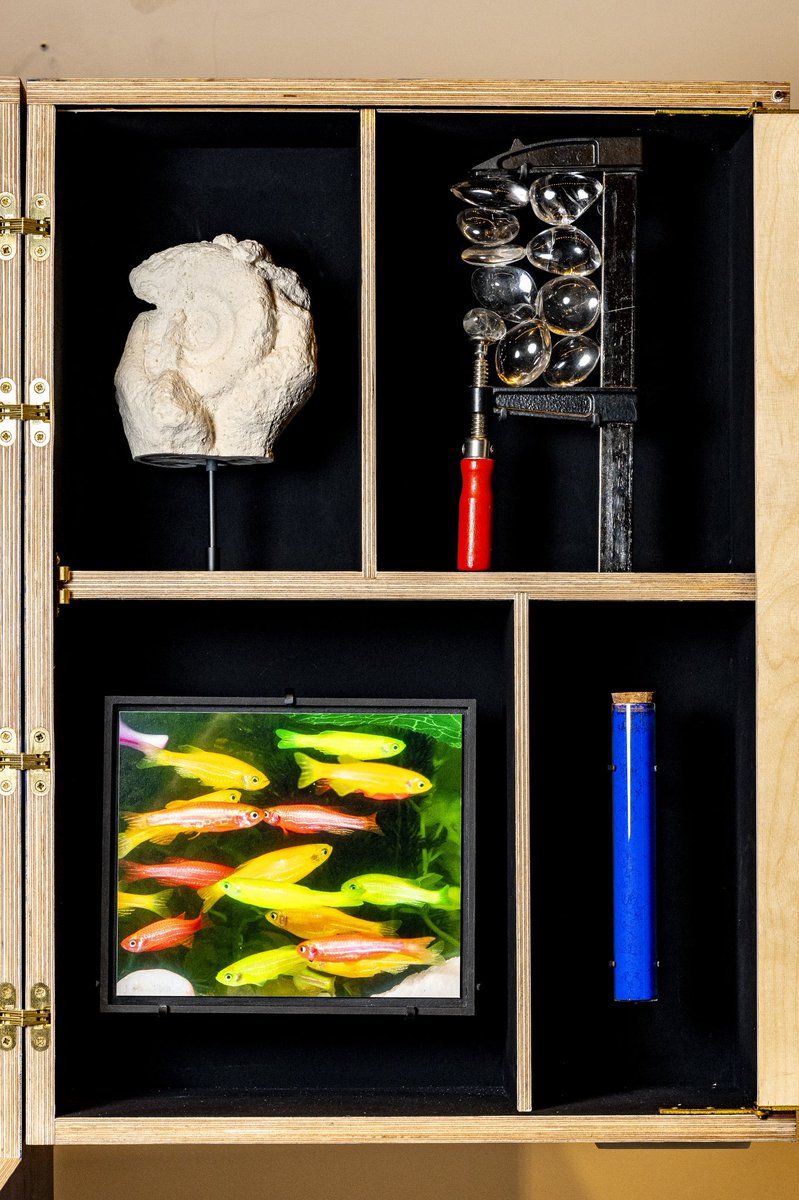 France Expo 2025 Osaka on X