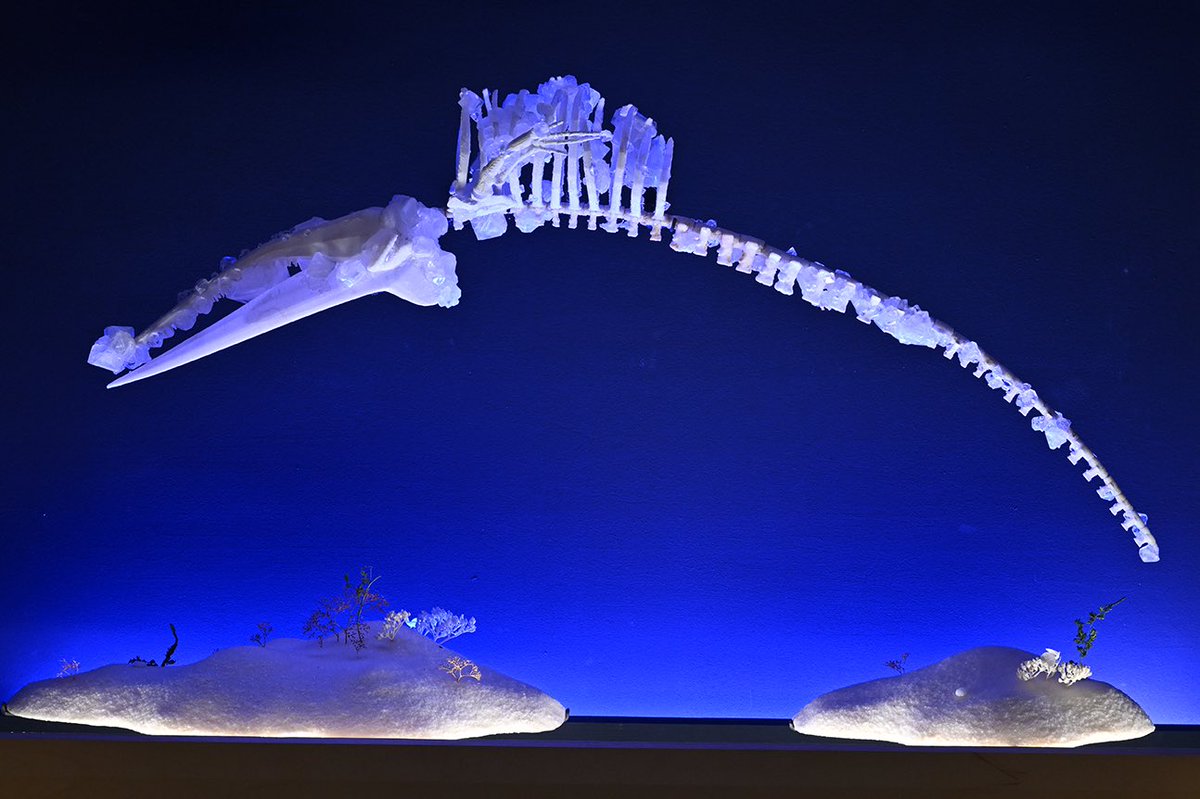 France Expo 2025 Osaka on X