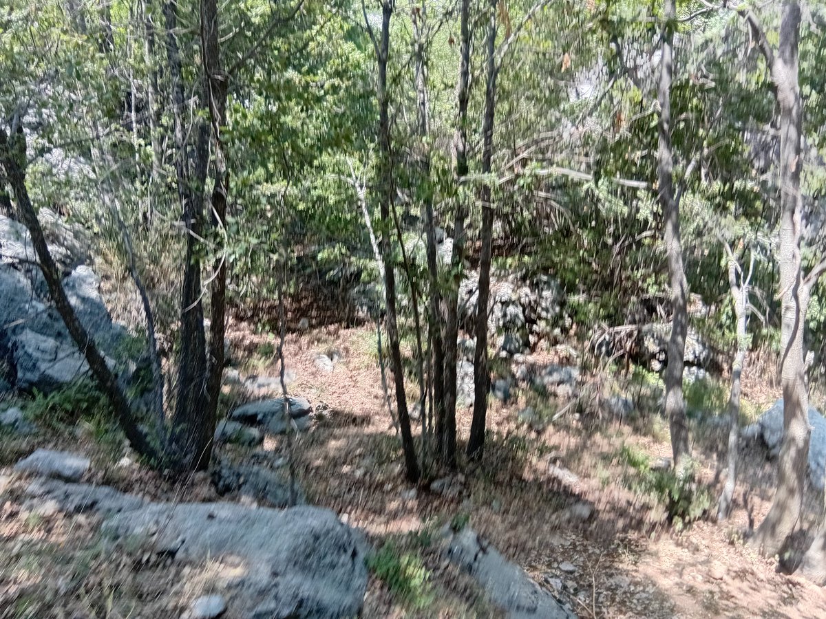 good afternoon everyone👍☕️🌄🌲📸
#hiking #NaturePhotography #NatureBeauty #view