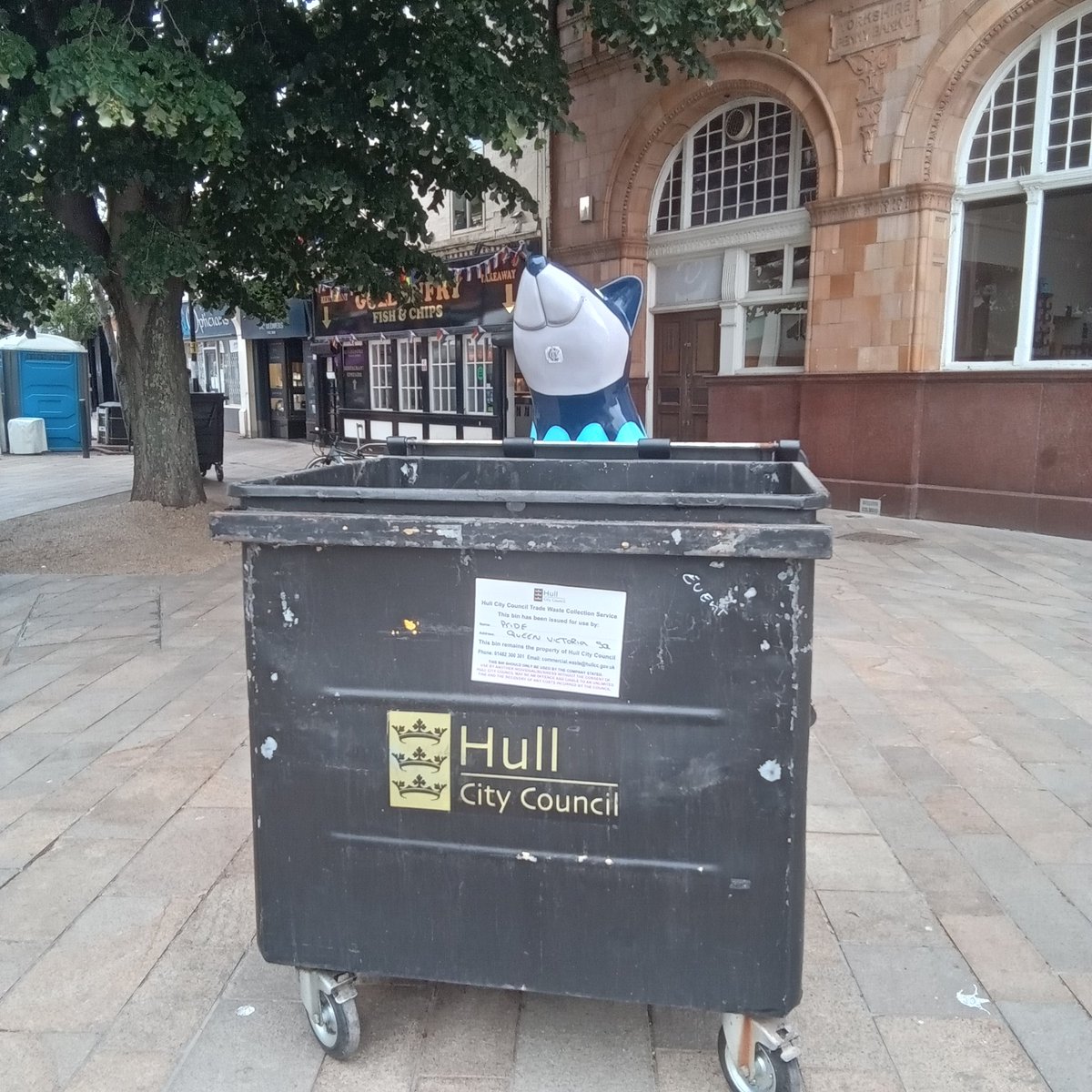 MikeCovell's tweet image. Massive rat spotted in City Centre bin.