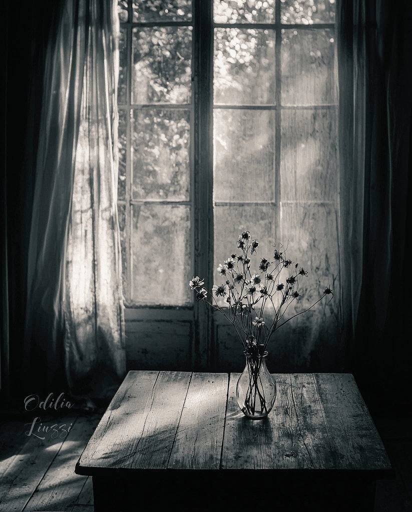 Semo (@designsemo) on Twitter photo 