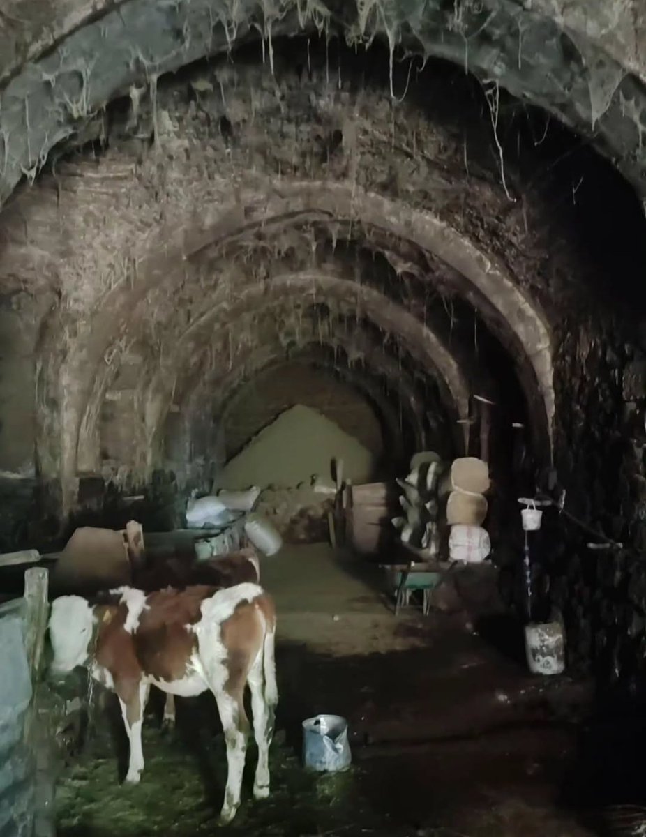 Paul Vartan tweet media