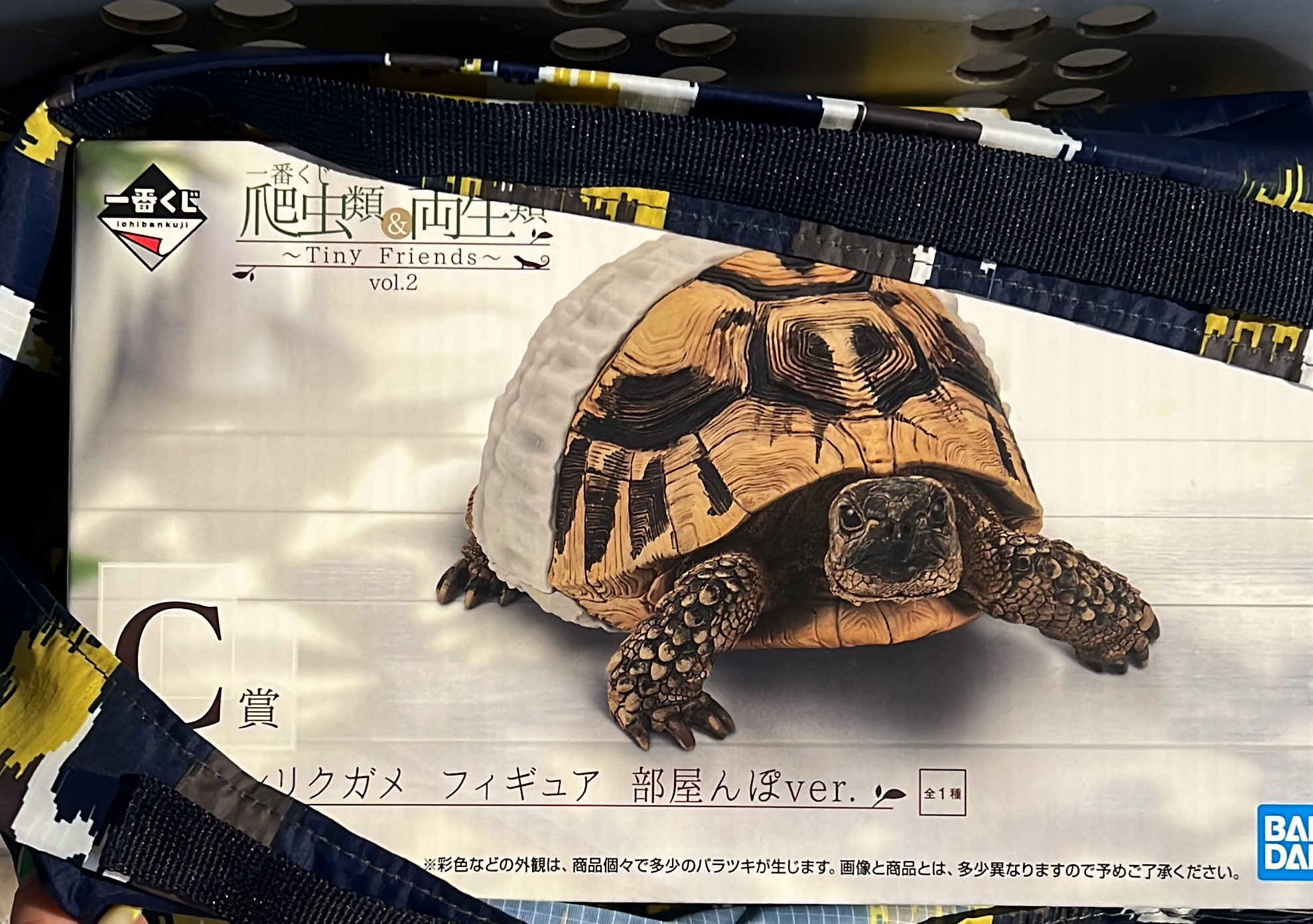 爬虫類&両生類　一番くじ　C賞 ヘルマンリクガメ　D賞 クレステッドゲッコー 爬虫類 一番くじ C賞 ヘルマンリクガメ D賞 クレステッド