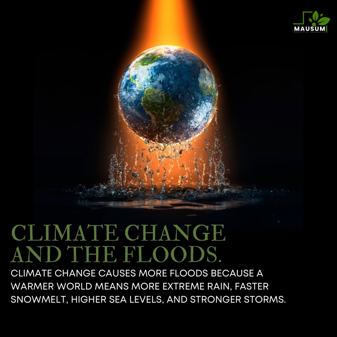 Mausum Mahool Protection Foundation tweet media