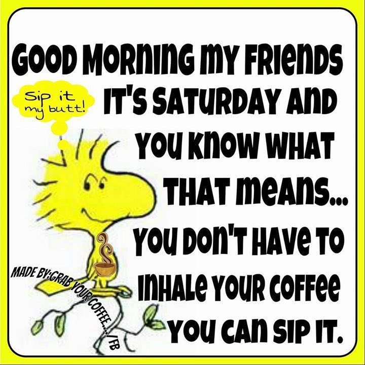 Sagger08's tweet image. Good morning my friends!
It’s Saturday!
Enjoy whatever you have planned for today!
But start off right, come grab a cup of coffee and say Hi!
☕️☕️🌞🌅🙋🏻♂️😊