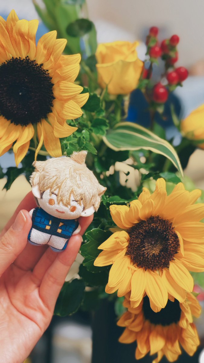 smtk9's tweet image. 撮影したよ…🎵これから写真編集するよ…🎵