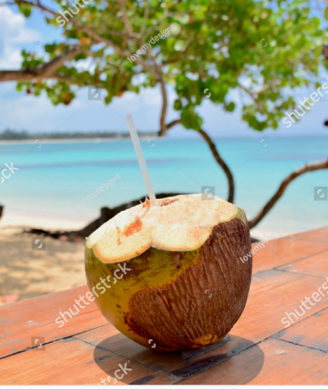 InessaW29's tweet image. shutterstock.com/image-photo/la…
Asset id: 1082227472
Las Terrenas Dominican Republic April 26 2018: Coconut with a straw on the table with tropical trees and a sea view on the background.
#MHHSBD #sky #holiday #photo #viral #coconutoil #GreenDay #travellove #decor #PhotographyIsArt