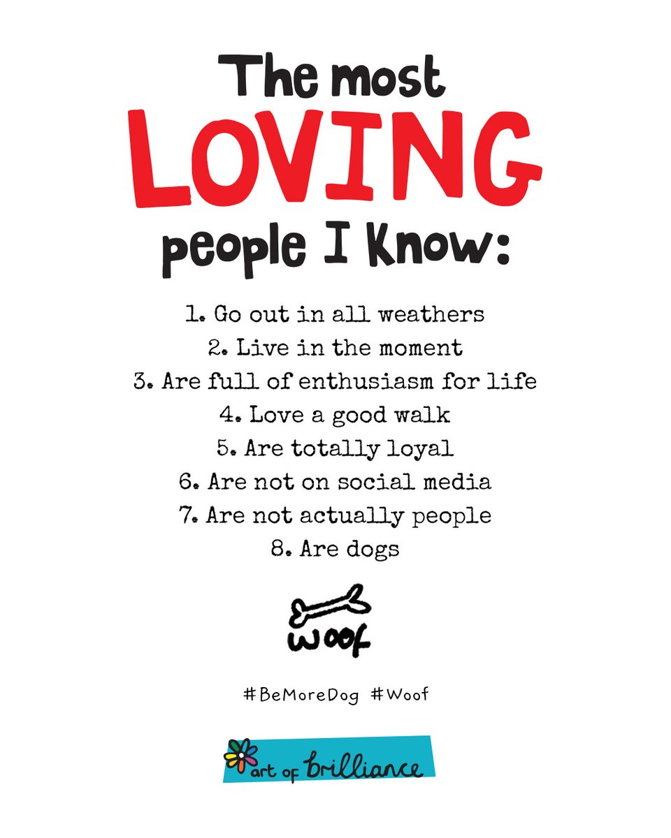beingbrilliant's tweet image. Are the world’s best people just dogs, reincarnated?