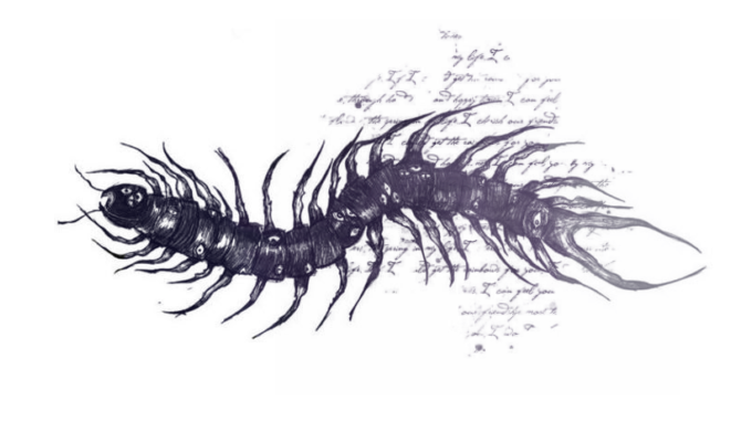 ؘ (@verudition) on Twitter photo 