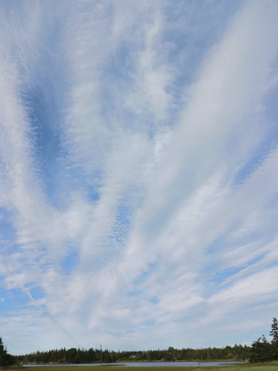 ImagesCoast's tweet image. Deep state creates a heat / UV dome by airplane exhaust and HAARP energy beams over Nova Scotia, Canada. July 18th 2025
#heatdome #pilotskill #pilotsaresatanic #HAARP