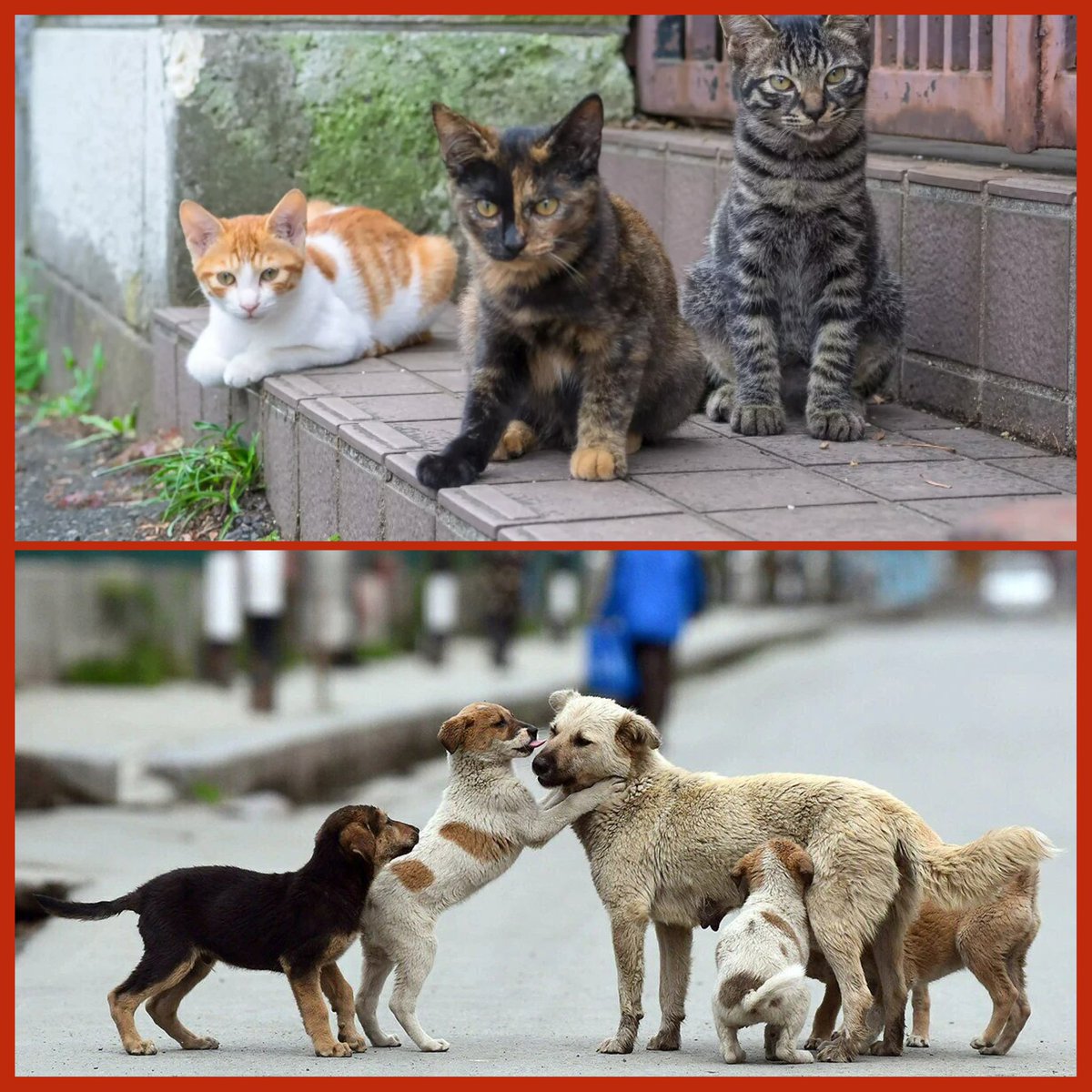 r_rahimpour's tweet image. در گرمای بیآب تابستان، مراقب فرشتههای تشنه در خیابانها باشیم.