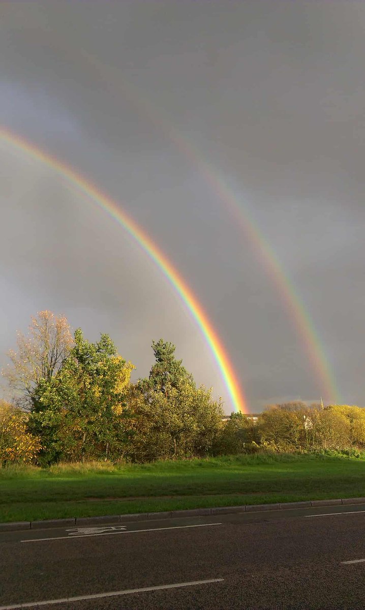 Sam Buttler tweet media