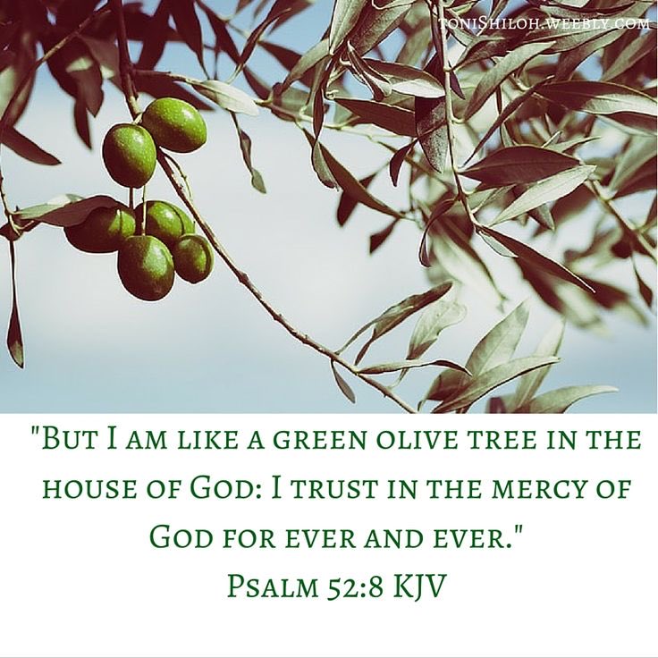 Daily Verse