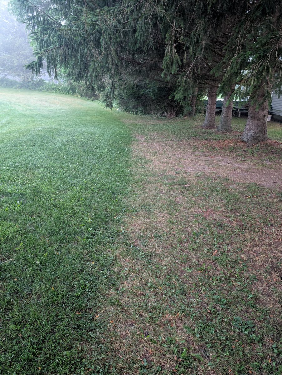 Another satisfied customer!  Hit me up to schedule your fall root pruning! Now serving VT, NY, and Western MA