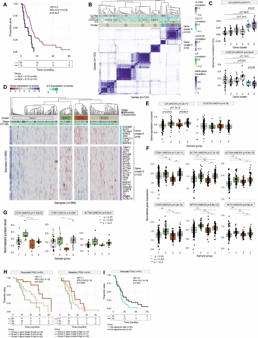CommsBio's tweet image. Neutrophil extracellular trap gene expression signatures identify prognostic and targetable signaling axes for inhibiting pancreatic tumour metastasis: Communications Biology, Published online: 04 July 2025; doi:10.1038/s42003-025-08440-xA Neutrophil… nature.com/articles/s4200…