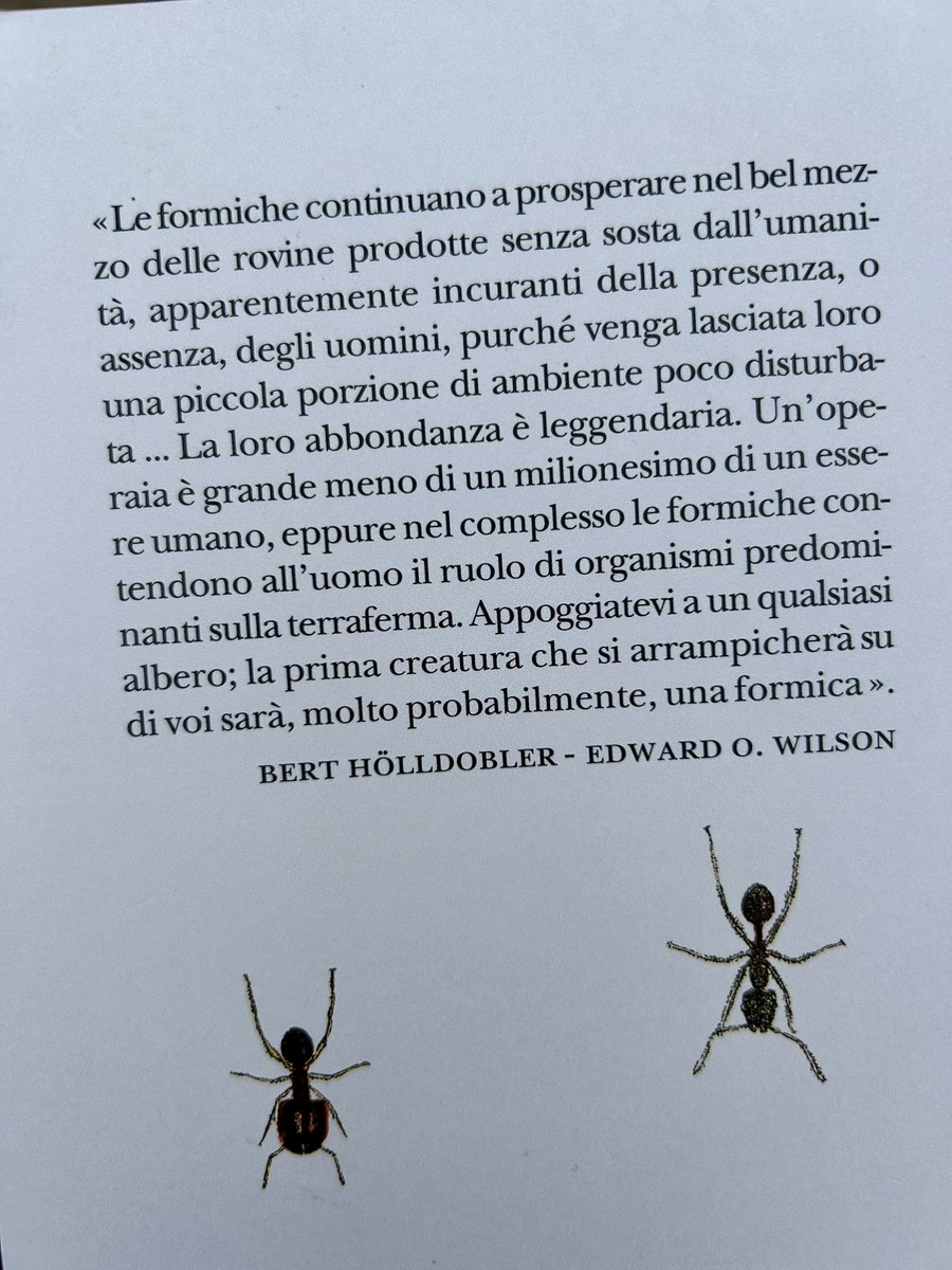 UggeriRoberto's tweet image. da ‘Formiche’
@adelphiedizioni