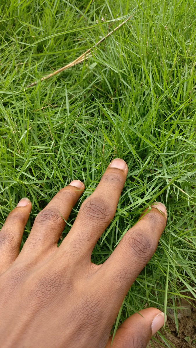 AWeb3kid's tweet image. Done touching grass π
Back to the usuals π«Ά
What did I miss π
Theoriq cooking massively π₯