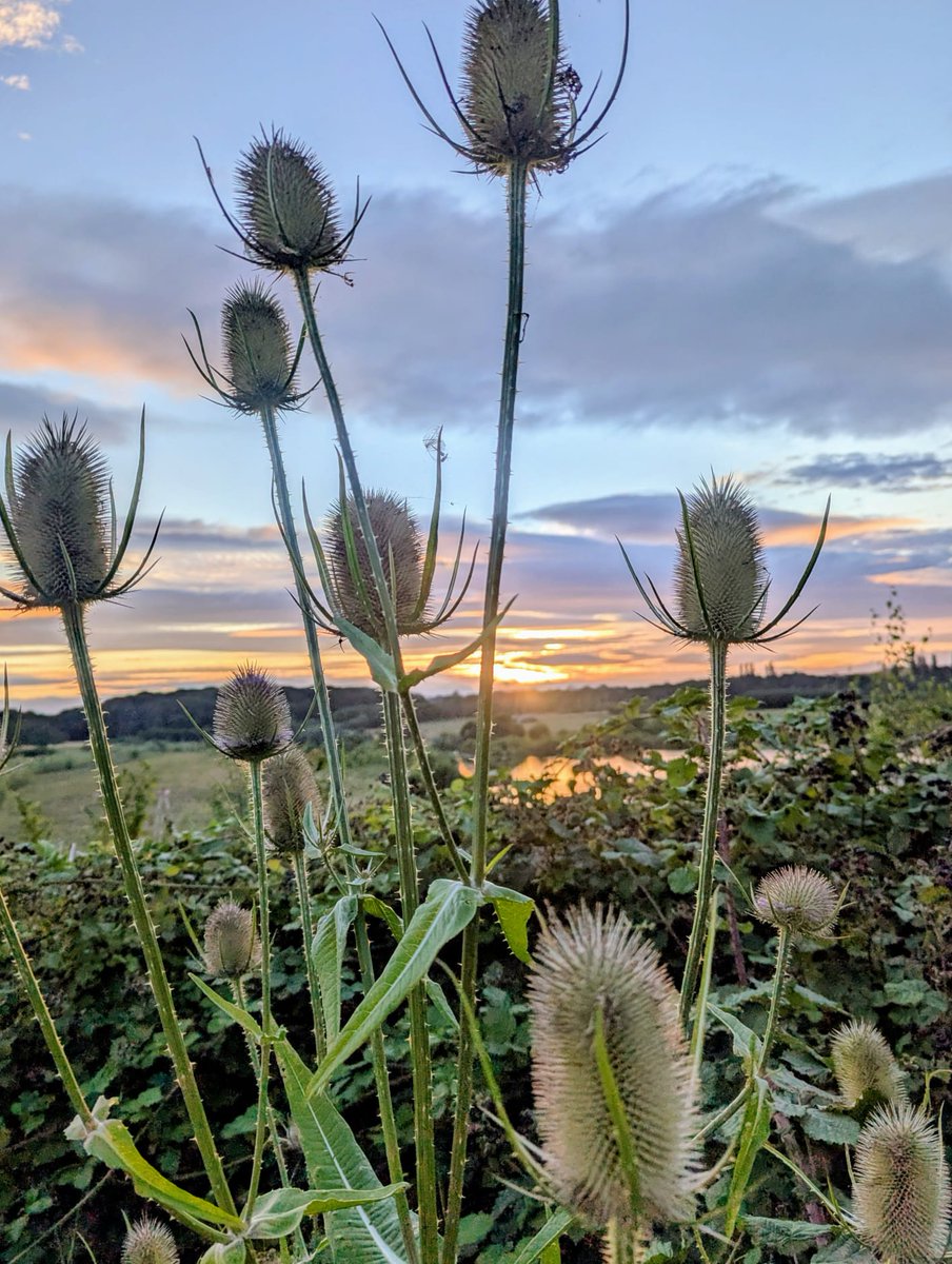#ScortonLakes <a href="/VNYorkshire/">North Yorkshire!</a> well what a wonderful start to my day ⭐️🤠🌳