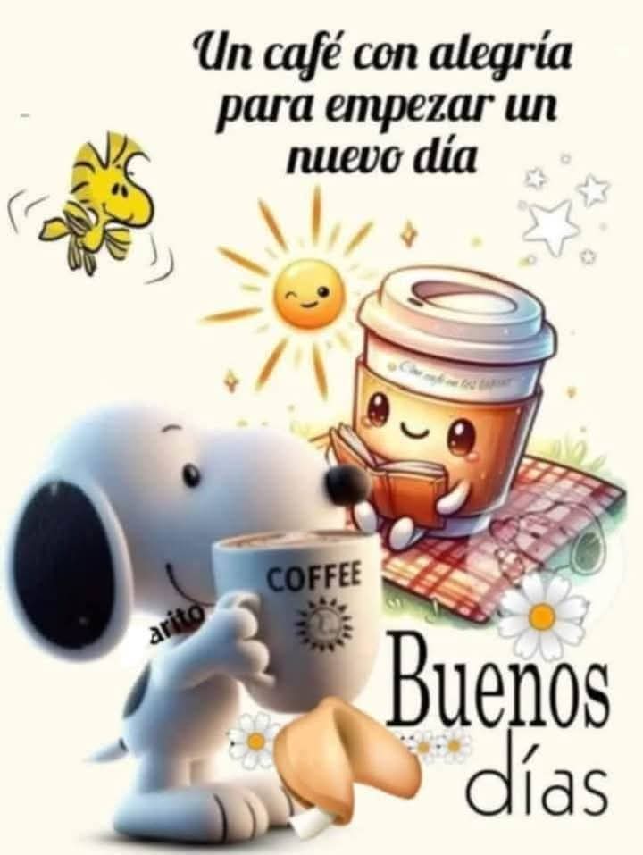 @Augusto Rivera (@7a8527e21de74bc) on Twitter photo 