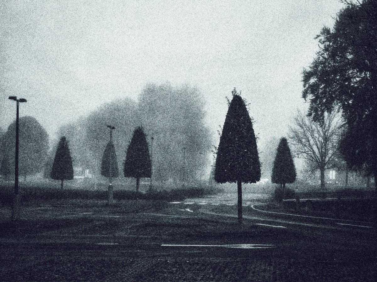 Drabbles153's tweet image. #NFTkaltenstein #kaltenstein #noai #noaiart #monochrome #Grain