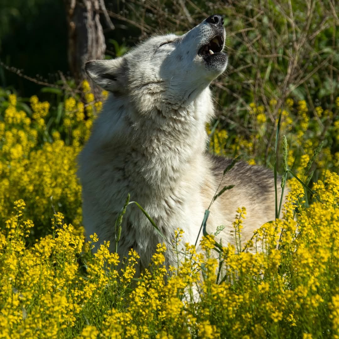 Beautiful photography❤️❤️🥰😘