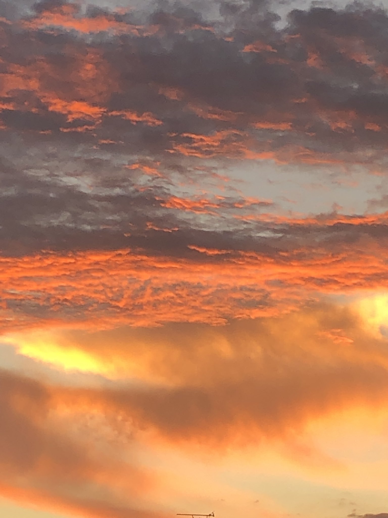 GAHGA 光れーる　君との夕焼けオレンジ 9aac1803a9ccb5ffd1b7ccd1ade9dd