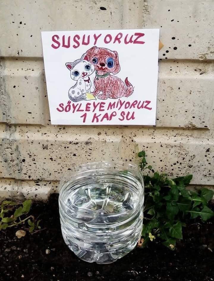 SiNEM GÜÇLÜ tweet media
