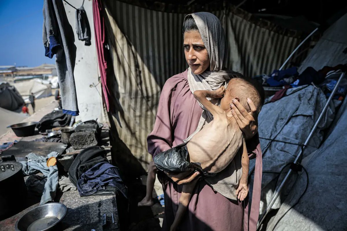 CompactMediaFR's tweet image. 🚨🇵🇸 FLASH | 🗣️ "Des mères bercent des bébés qu'elles ne peuvent plus nourrir":
"Mes enfants, eux aussi, ne pleurent plus. Ils n'ont plus la force. Ils ne courent plus, ne jouent plus. Le silence a remplacé leurs rires. Ils restent allongés, les yeux ouverts, fixant le plafond…